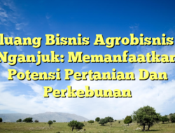 Peluang Bisnis Agrobisnis Di Nganjuk: Memanfaatkan Potensi Pertanian Dan Perkebunan