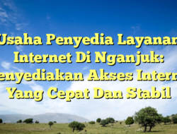 Usaha Penyedia Layanan Internet Di Nganjuk: Menyediakan Akses Internet Yang Cepat Dan Stabil