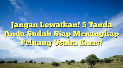 Jangan Lewatkan! 5 Tanda Anda Sudah Siap Menangkap Peluang Usaha Emas!