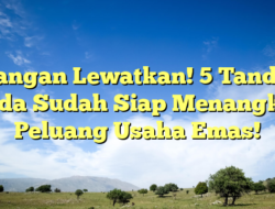 Jangan Lewatkan! 5 Tanda Anda Sudah Siap Menangkap Peluang Usaha Emas!