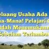 Peluang Usaha Ada di Mana-Mana! Pelajari Cara Mudah Menemukannya Sebelum Terlambat!