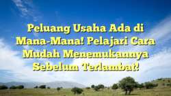 Peluang Usaha Ada di Mana-Mana! Pelajari Cara Mudah Menemukannya Sebelum Terlambat!