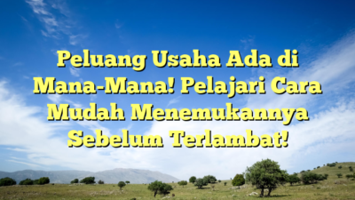 Peluang Usaha Ada di Mana-Mana! Pelajari Cara Mudah Menemukannya Sebelum Terlambat!