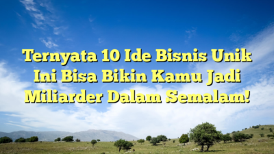 Ternyata 10 Ide Bisnis Unik Ini Bisa Bikin Kamu Jadi Miliarder Dalam Semalam!