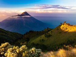 Wow! Kejadian Tak Terduga Ini Viral di Indonesia, Kamu Gak Akan Percaya Apa yang Terjadi!