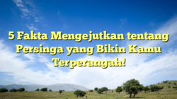 5 Fakta Mengejutkan tentang Persinga yang Bikin Kamu Terperangah!