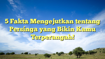 5 Fakta Mengejutkan tentang Persinga yang Bikin Kamu Terperangah!