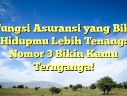 5 Fungsi Asuransi yang Bikin Hidupmu Lebih Tenang: Nomor 3 Bikin Kamu Ternganga!