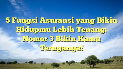 5 Fungsi Asuransi yang Bikin Hidupmu Lebih Tenang: Nomor 3 Bikin Kamu Ternganga!