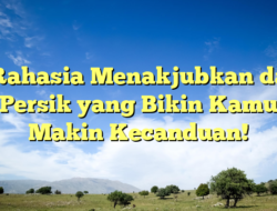 5 Rahasia Menakjubkan dari Persik yang Bikin Kamu Makin Kecanduan!