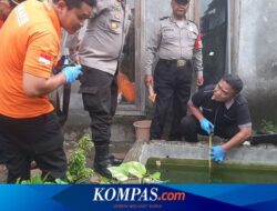 Balita Kembar di Nganjuk Tewas di Kolam Ikan Depan Rumah Saat Ditinggal Tidur Siang, Orangtua Dapat Dipidana