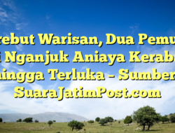 Berebut Warisan, Dua Pemuda di Nganjuk Aniaya Kerabat hingga Terluka – Sumber : SuaraJatimPost.com