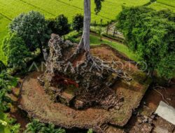 Candi Lor di Nganjuk alami pelapukan