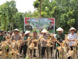 Dukung Ketahanan Pangan, Polres Nganjuk Panen 20,56 Ton Jagung