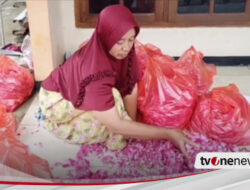 Jelang Ramadhan, Petani Mawar di Nganjuk Kebanjiran Berkah, Harga dan Permintaan Tinggi