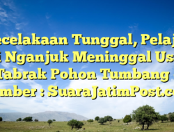 Kecelakaan Tunggal, Pelajar di Nganjuk Meninggal Usai Tabrak Pohon Tumbang – Sumber : SuaraJatimPost.com