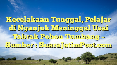 Kecelakaan Tunggal, Pelajar di Nganjuk Meninggal Usai Tabrak Pohon Tumbang – Sumber : SuaraJatimPost.com