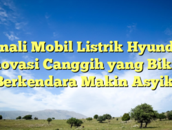 Kenali Mobil Listrik Hyundai: Inovasi Canggih yang Bikin Berkendara Makin Asyik!