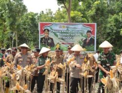 Panen 20,56 Ton Jagung di Lahan 5,28 Hektare, Polres Nganjuk Akan Lanjutkan Program Ketahanan Pangan