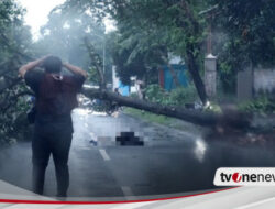 Pelajar di Nganjuk Tewas Tertimpa Pohon Akibat Hujan Disertai Angin Kencang