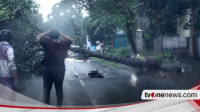 Pelajar di Nganjuk Tewas Tertimpa Pohon Akibat Hujan Disertai Angin Kencang