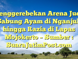 Penggerebekan Arena Judi Sabung Ayam di Nganjuk hingga Razia di Lapas Mojokerto – Sumber : SuaraJatimPost.com