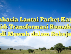 Rahasia Lantai Parket Kayu Solid: Transformasi Rumahmu Jadi Mewah dalam Sekejap!