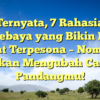 Ternyata, 7 Rahasia Persebaya yang Bikin Fans Berat Terpesona – Nomor 5 Akan Mengubah Cara Pandangmu!