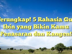 Terungkap! 5 Rahasia Gus Ibin yang Bikin Kamu Penasaran dan Kangen!