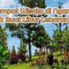 9 Tempat Wisata di Nganjuk Cocok Dikunjungi saat Libur Lebaran 2025, Bukit Surga hingga Air Terjun