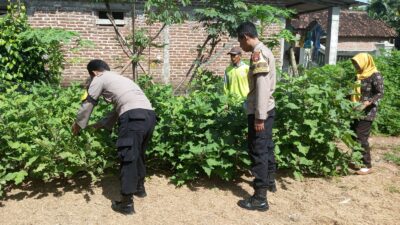 Dukung Ketahanan Pangan, Polres Nganjuk Dampingi Pemanfaatan Lahan Pekarangan Lestari