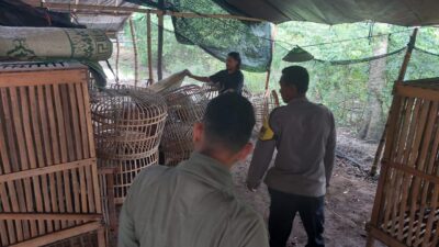 Polres Nganjuk Gerebek Arena Judi Sabung Ayam di Bagor