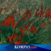 Ribuan Hektar Hutan Lereng Utara Gunung Wilis Nganjuk Rusak, Kondisinya Kritis