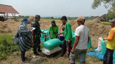 Serapan Gabah di Nganjuk Optimis Lampaui Target