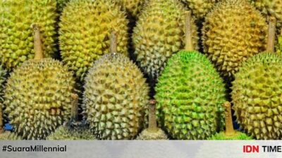 Tempat Wisata Durian Paling Hits di Nganjuk