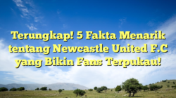 Terungkap! 5 Fakta Menarik tentang Newcastle United F.C yang Bikin Fans Terpukau!