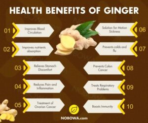 GINGER BENEFITS SEXUALLY. Ginger, a widely used spice in culinary… | by ...