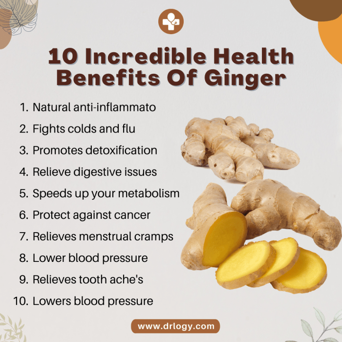 ๎Ginger๎ Uses And ๎Benefits๎ As Herbal Medicine at Emily Marsh blog Manfaat jahe emprit