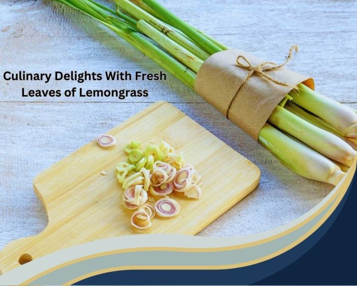 10 ๎benefits๎ of growing ๎lemongrass๎ in your garden โ Artofit Manfaat serai untuk tanaman cabai