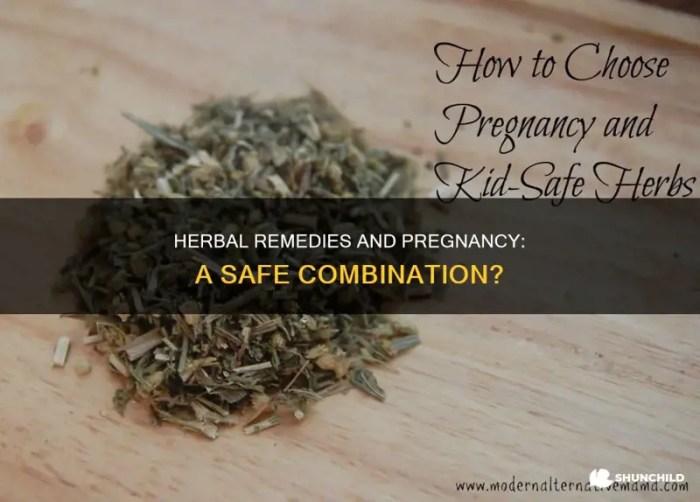 Herbal Remedies And Pregnancy: A Safe Combination? | ShunChild