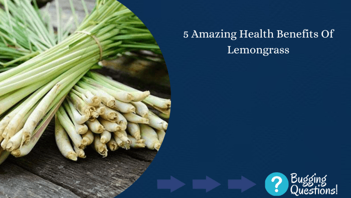 10 ๎Benefits๎ Of Growing ๎Lemongrass๎ In Your Garden - Garden Beds 10 ๎Benefits๎ Of Growing ๎Lemongrass๎ In Your Garden - Garden Beds