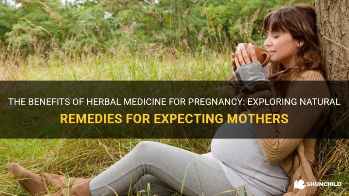 Teh herbal yang aman untuk ibu hamil