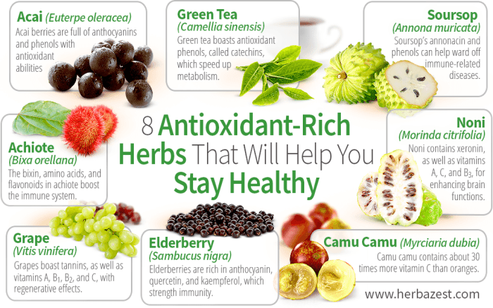 8 Antioxidant-Rich Herbs That Will Help You Stay Healthy | HerbaZest 8 Antioxidant-Rich Herbs That Will Help You Stay Healthy | HerbaZest