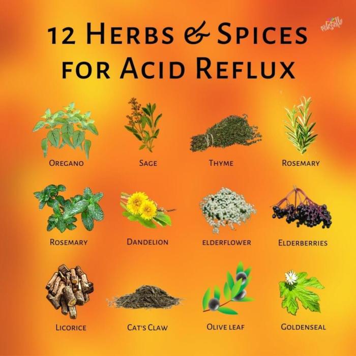 Best Herbal Home Remedies for Acidity, Acid Reflux and Heartburn - YouTube Teh herbal untuk asam lambung di indomaret
