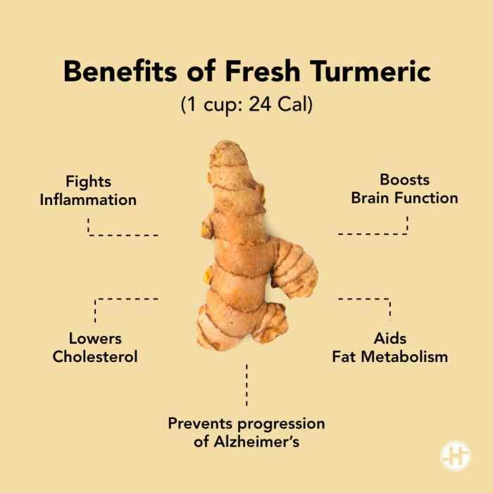 Health Benefits Of Turmeric To Live A Good Life - Vyom Overseas