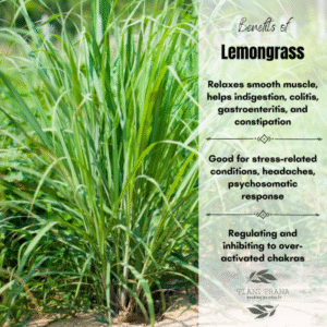 Health Benefits of Lemongrass | Lemongrass spa, Skin tea, Organic body ...
