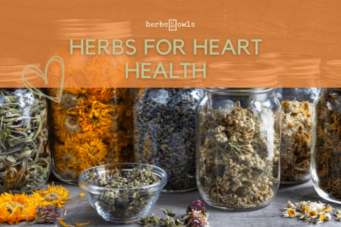 Home - ๎Herbal๎ ๎Health๎ Teh herbal sehat kita