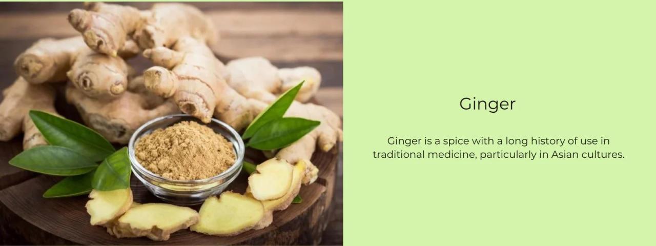 Health Benefits of Ginger | Explificit Blog Manfaat jahe untuk kesehatan
