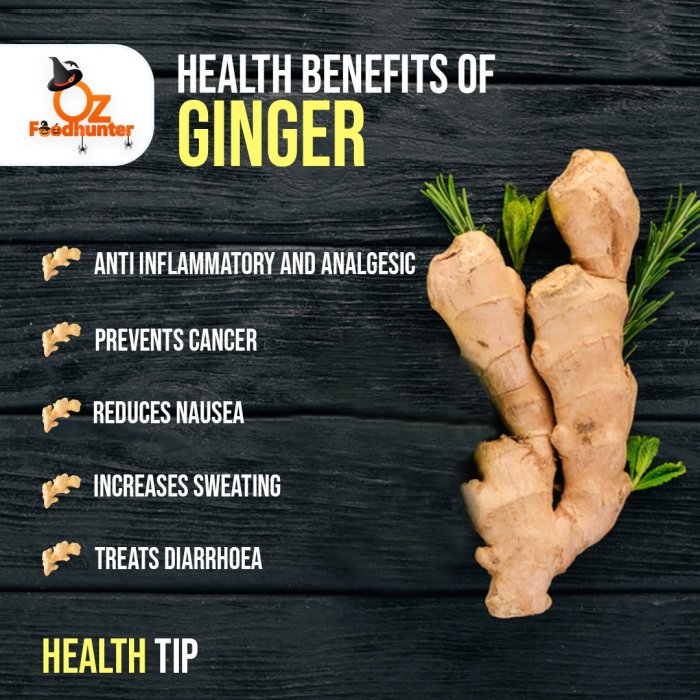 ๎Ginger Benefits๎ ๎Ginger Benefits๎