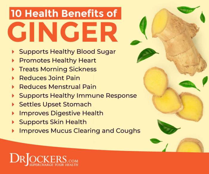 ๎Ginger Benefits๎ ๎Ginger Benefits๎